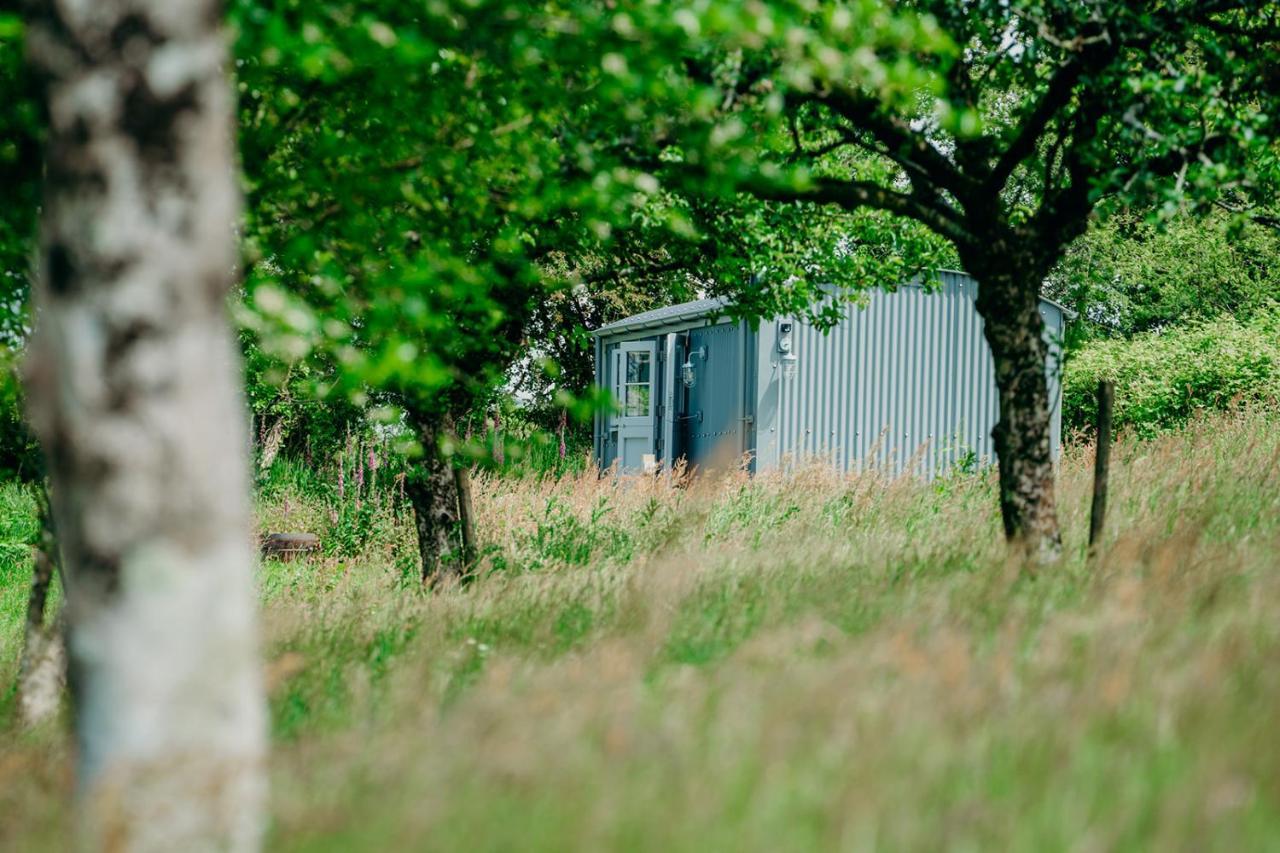 Blatchford Briar - Award Winning Private Shephards Huts With Their Own Secluded Hot Tubs Milton Abbot 외부 사진