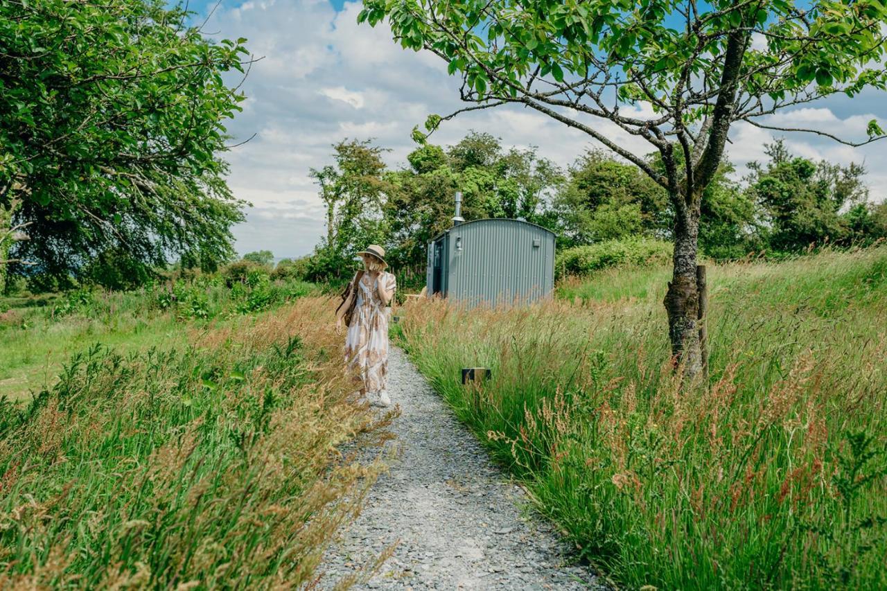 Blatchford Briar - Award Winning Private Shephards Huts With Their Own Secluded Hot Tubs Milton Abbot 외부 사진