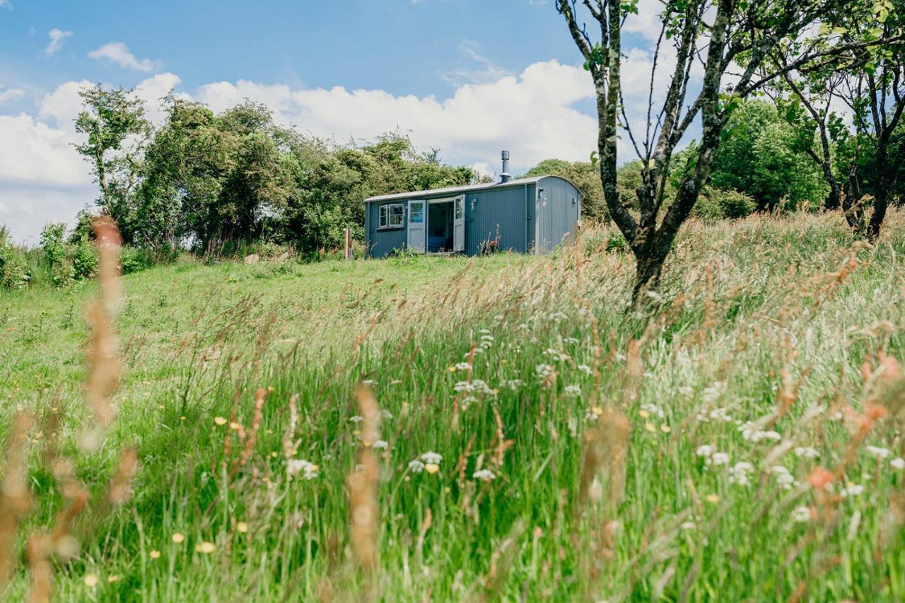Blatchford Briar - Award Winning Private Shephards Huts With Their Own Secluded Hot Tubs Milton Abbot 외부 사진