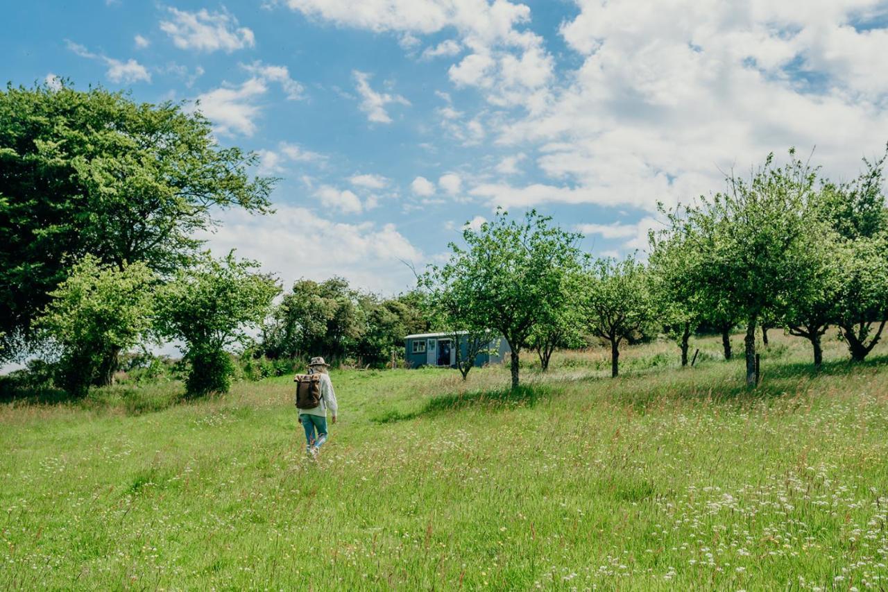Blatchford Briar - Award Winning Private Shephards Huts With Their Own Secluded Hot Tubs Milton Abbot 외부 사진