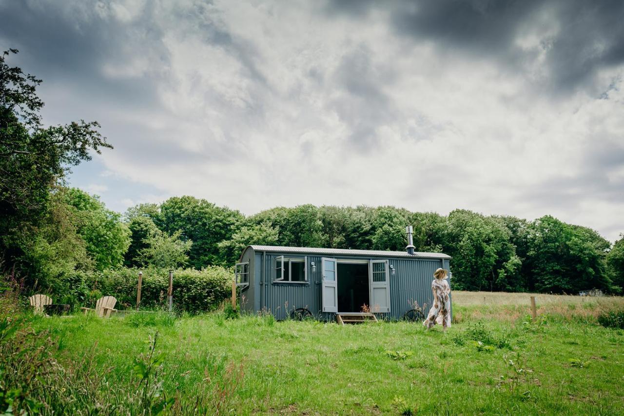 Blatchford Briar - Award Winning Private Shephards Huts With Their Own Secluded Hot Tubs Milton Abbot 외부 사진