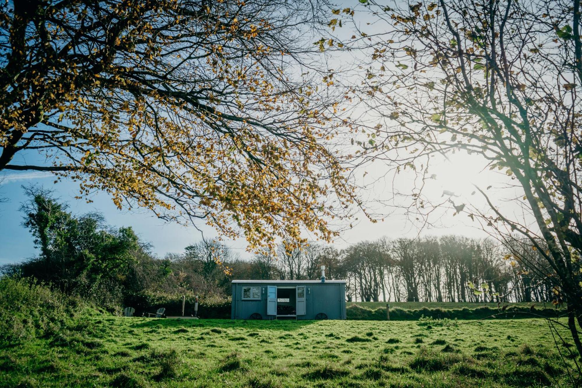Blatchford Briar - Award Winning Private Shephards Huts With Their Own Secluded Hot Tubs Milton Abbot 외부 사진